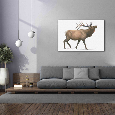 Image of 'Northern Wild III' by James Wiens, Canvas Wall Art,60 x 40