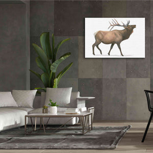 'Northern Wild III' by James Wiens, Canvas Wall Art,60 x 40