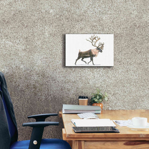 'Northern Wild IV' by James Wiens, Canvas Wall Art,18 x 12