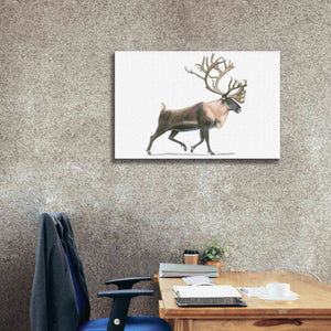 'Northern Wild IV' by James Wiens, Canvas Wall Art,40 x 26