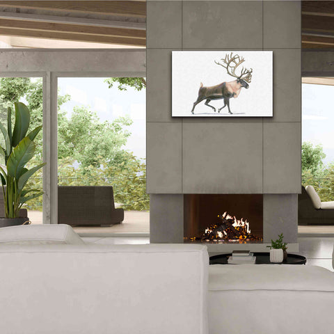 Image of 'Northern Wild IV' by James Wiens, Canvas Wall Art,40 x 26