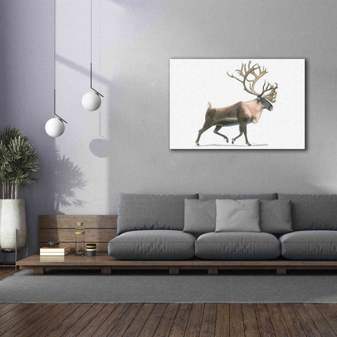 Image of 'Northern Wild IV' by James Wiens, Canvas Wall Art,60 x 40