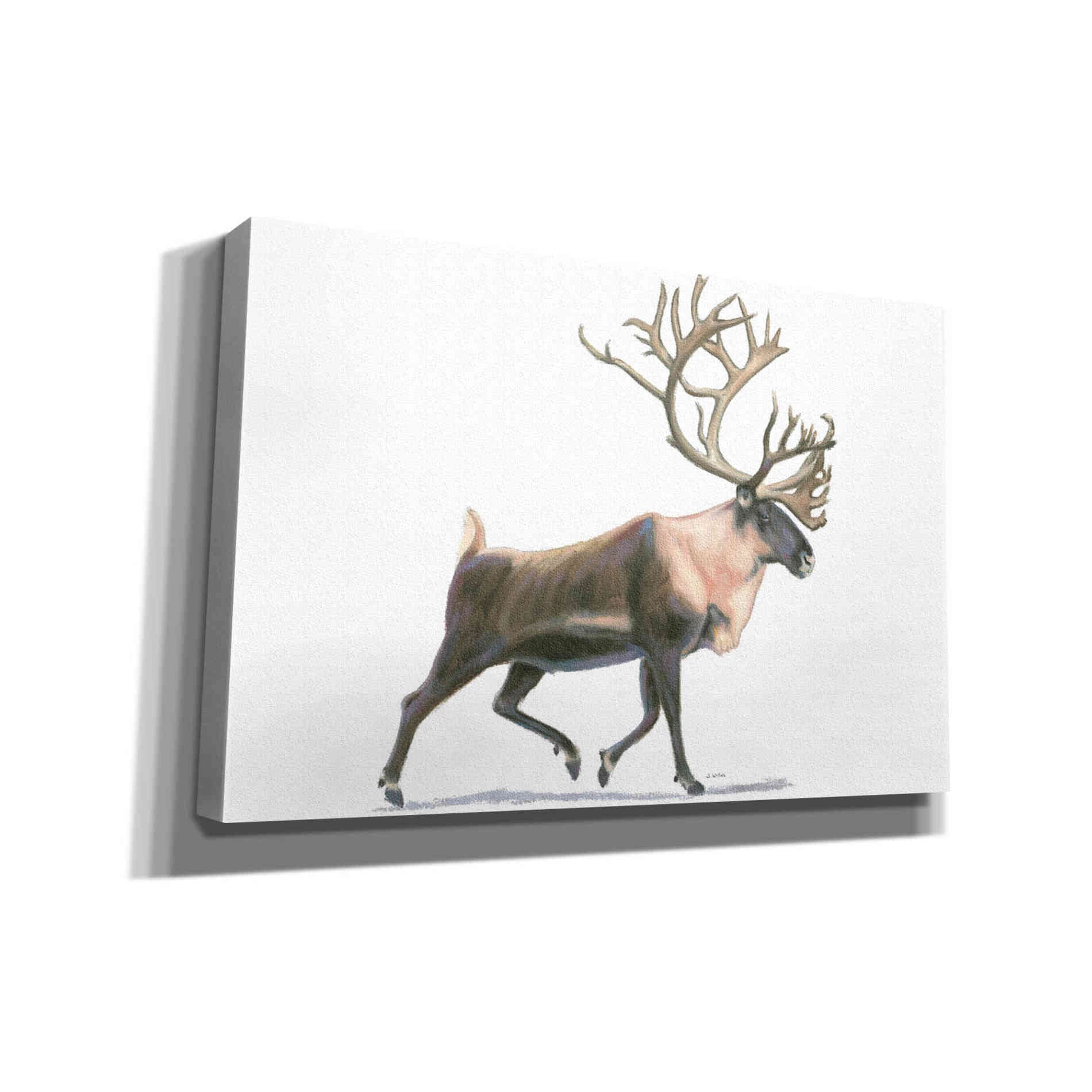 'Northern Wild IV' by James Wiens, Canvas Wall Art,18x12x1.1x0,26x18x1.1x0,40x26x1.74x0,60x40x1.74x0