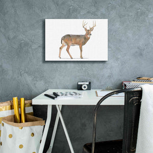'Northern Wild V' by James Wiens, Canvas Wall Art,18 x 12