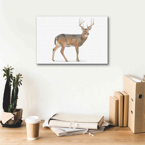 Image of 'Northern Wild V' by James Wiens, Canvas Wall Art,18 x 12