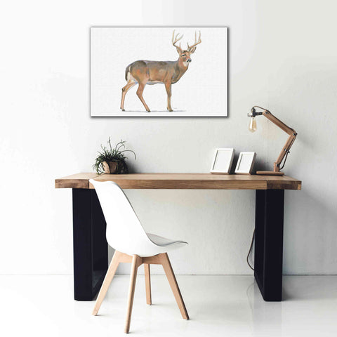 Image of 'Northern Wild V' by James Wiens, Canvas Wall Art,40 x 26