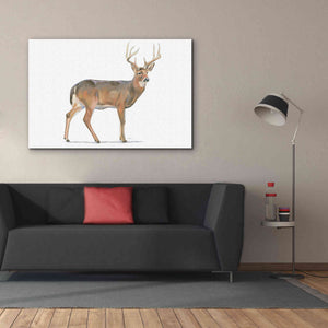 'Northern Wild V' by James Wiens, Canvas Wall Art,60 x 40