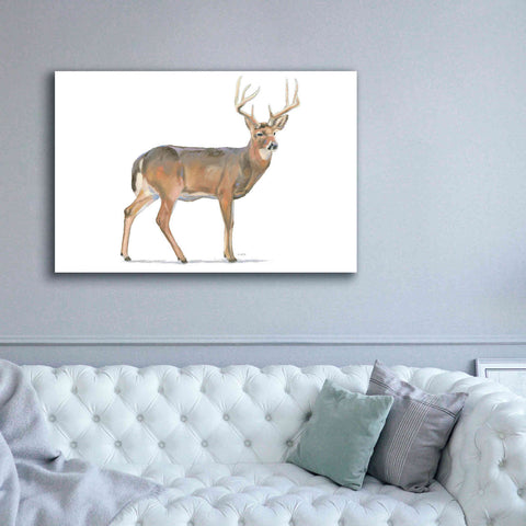 Image of 'Northern Wild V' by James Wiens, Canvas Wall Art,60 x 40