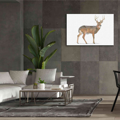 Image of 'Northern Wild V' by James Wiens, Canvas Wall Art,60 x 40