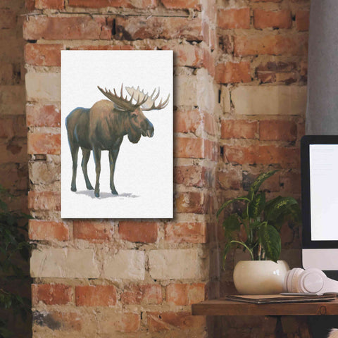 Image of 'Northern Wild VI' by James Wiens, Canvas Wall Art,12 x 18