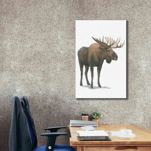 'Northern Wild VI' by James Wiens, Canvas Wall Art,26 x 40