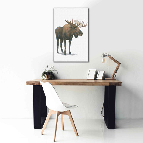 Image of 'Northern Wild VI' by James Wiens, Canvas Wall Art,26 x 40