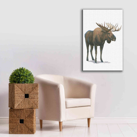 Image of 'Northern Wild VI' by James Wiens, Canvas Wall Art,26 x 40