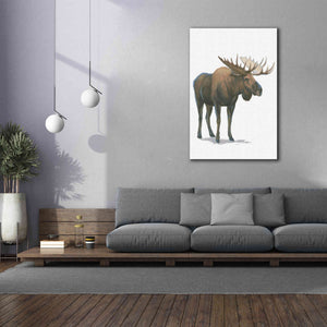'Northern Wild VI' by James Wiens, Canvas Wall Art,40 x 60