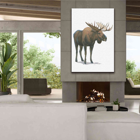 Image of 'Northern Wild VI' by James Wiens, Canvas Wall Art,40 x 60