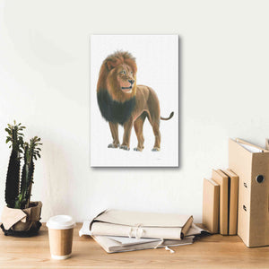 'Wild and Free I' by James Wiens, Canvas Wall Art,12 x 18