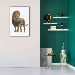 'Wild and Free I' by James Wiens, Canvas Wall Art,26 x 40