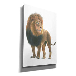 'Wild and Free I' by James Wiens, Canvas Wall Art,12x18x1.1x0,18x26x1.1x0,26x40x1.74x0,40x60x1.74x0