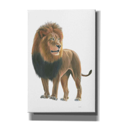 Image of 'Wild and Free I' by James Wiens, Canvas Wall Art,12x18x1.1x0,18x26x1.1x0,26x40x1.74x0,40x60x1.74x0