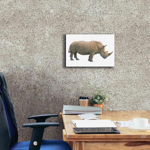 Image of 'Wild and Free III' by James Wiens, Canvas Wall Art,18 x 12