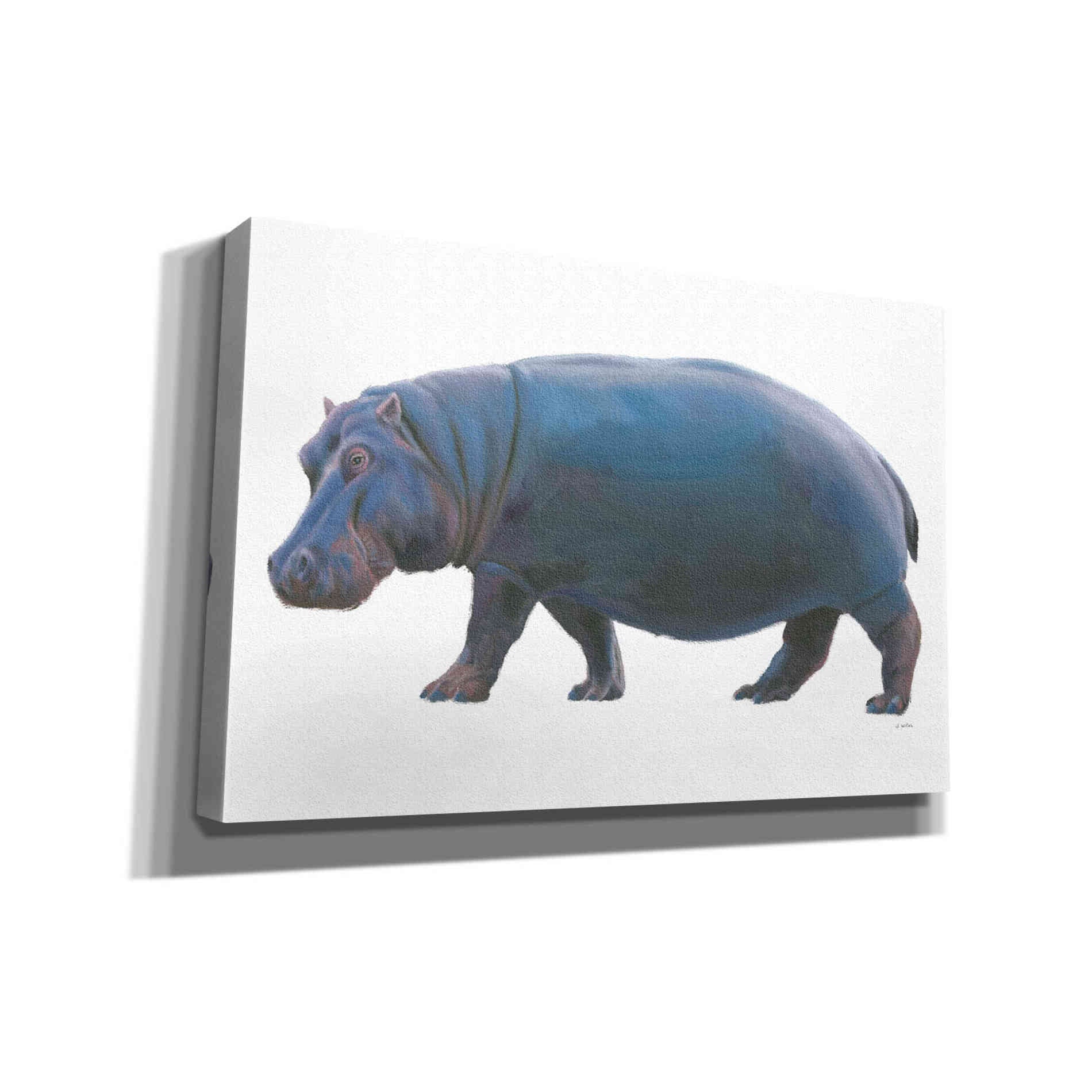 'Wild and Free IV' by James Wiens, Canvas Wall Art,18x12x1.1x0,26x18x1.1x0,40x26x1.74x0,60x40x1.74x0