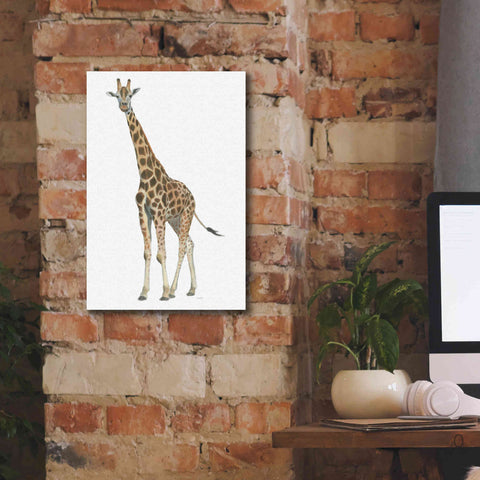 Image of 'Wild and Free V' by James Wiens, Canvas Wall Art,12 x 18