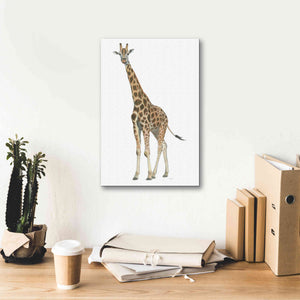 'Wild and Free V' by James Wiens, Canvas Wall Art,12 x 18