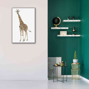 'Wild and Free V' by James Wiens, Canvas Wall Art,26 x 40