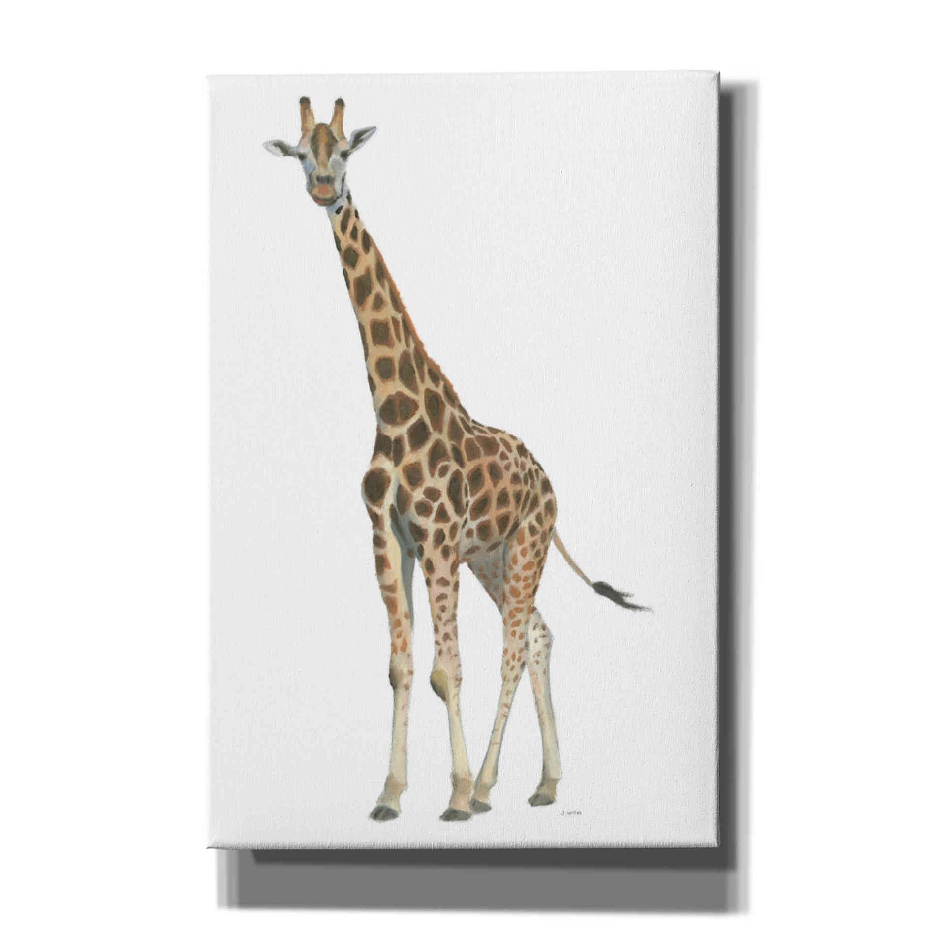 'Wild and Free V' by James Wiens, Canvas Wall Art,12x18x1.1x0,18x26x1.1x0,26x40x1.74x0,40x60x1.74x0