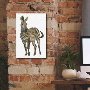 'Wild and Free VI' by James Wiens, Canvas Wall Art,12 x 18