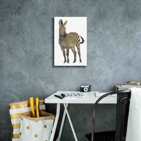 Image of 'Wild and Free VI' by James Wiens, Canvas Wall Art,12 x 18