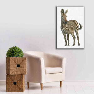 'Wild and Free VI' by James Wiens, Canvas Wall Art,26 x 40