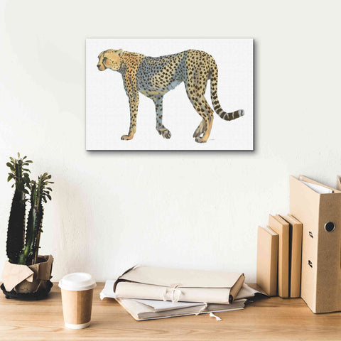 Image of 'Wild and Free VII' by James Wiens, Canvas Wall Art,18 x 12