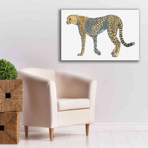 'Wild and Free VII' by James Wiens, Canvas Wall Art,40 x 26