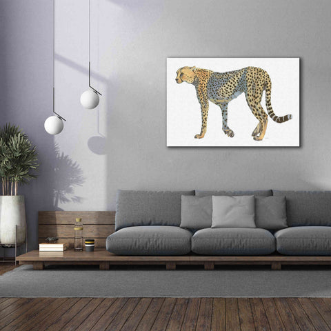 Image of 'Wild and Free VII' by James Wiens, Canvas Wall Art,60 x 40