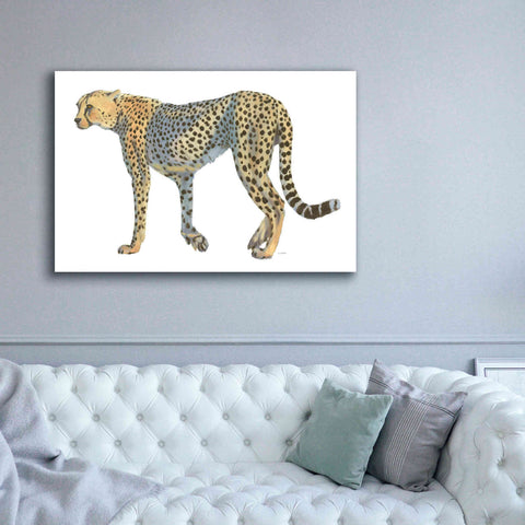 Image of 'Wild and Free VII' by James Wiens, Canvas Wall Art,60 x 40