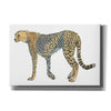 'Wild and Free VII' by James Wiens, Canvas Wall Art,18x12x1.1x0,26x18x1.1x0,40x26x1.74x0,60x40x1.74x0
