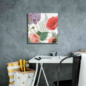 'Boho Bouquet  XI' by James Wiens, Canvas Wall Art,18 x 18
