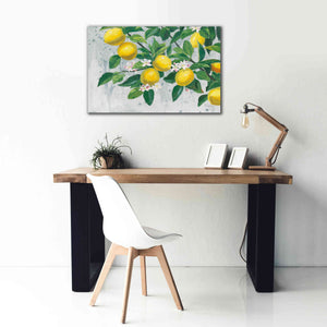 'Zesty Lemons' by James Wiens, Canvas Wall Art,40 x 26