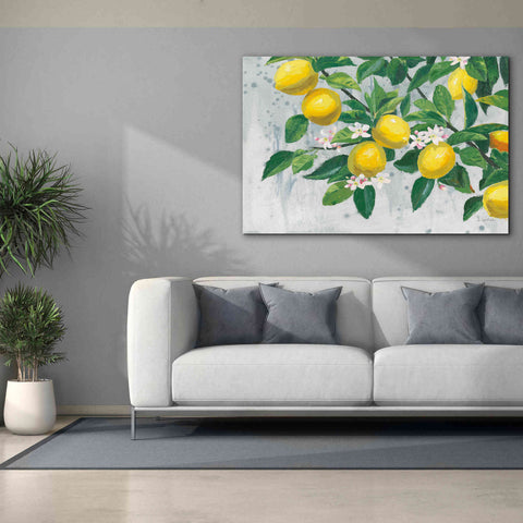 Image of 'Zesty Lemons' by James Wiens, Canvas Wall Art,60 x 40
