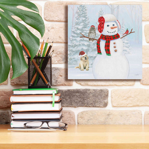 Image of 'Dressed for Christmas II Crop' by James Wiens, Canvas Wall Art,12 x 12