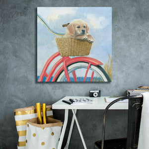 'Beach Ride V' by James Wiens, Canvas Wall Art,26 x 26