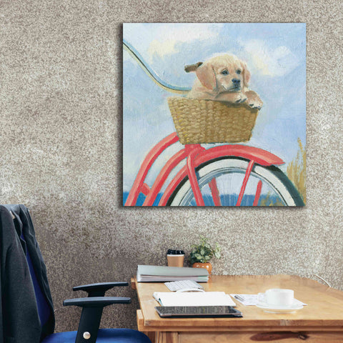 Image of 'Beach Ride V' by James Wiens, Canvas Wall Art,37 x 37