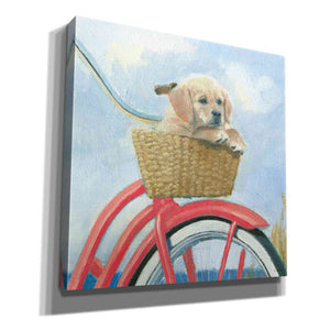 'Beach Ride V' by James Wiens, Canvas Wall Art,12x12x1.1x0,18x18x1.1x0,26x26x1.74x0,37x37x1.74x0