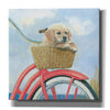 'Beach Ride V' by James Wiens, Canvas Wall Art,12x12x1.1x0,18x18x1.1x0,26x26x1.74x0,37x37x1.74x0