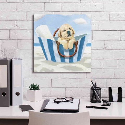 Image of 'Beach Ride VI' by James Wiens, Canvas Wall Art,18 x 18