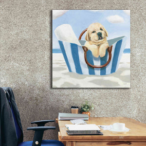 'Beach Ride VI' by James Wiens, Canvas Wall Art,37 x 37