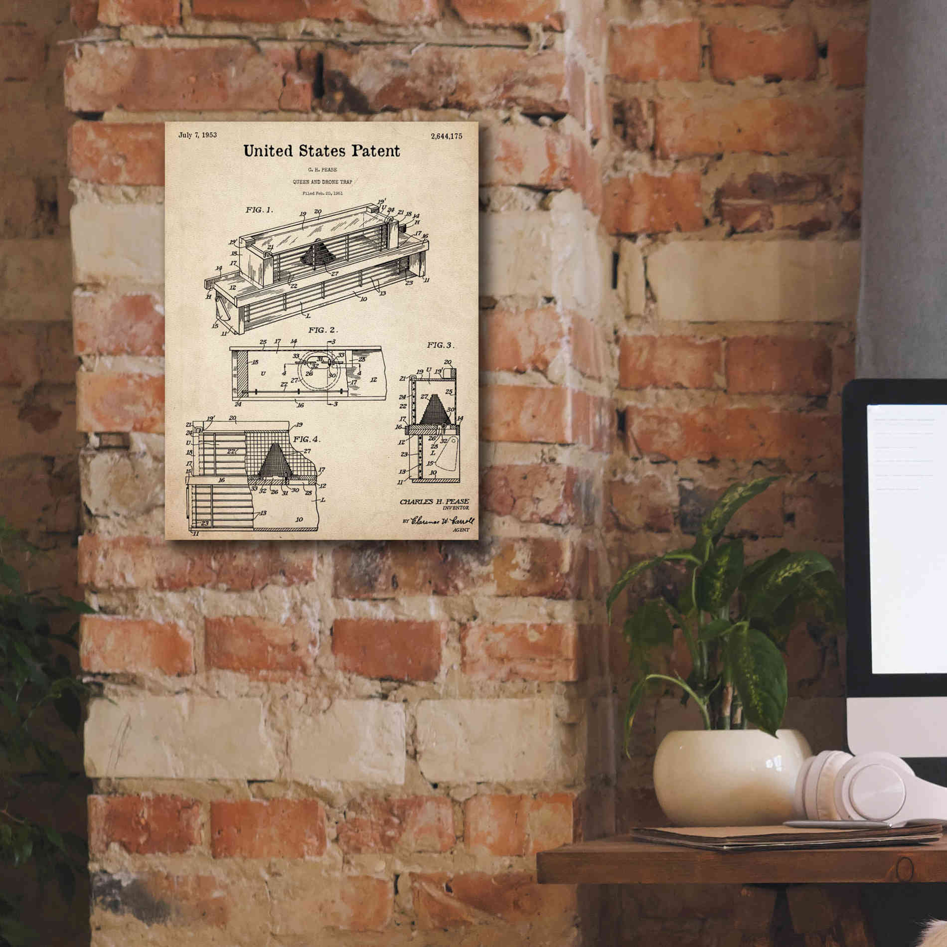 'Queen and Drone Trap Blueprint Patent Parchment,' Canvas Wall Art,12 x 16