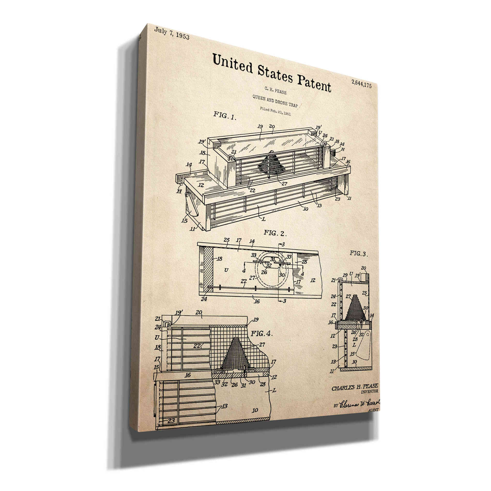 'Queen and Drone Trap Blueprint Patent Parchment,' Canvas Wall Art,12x16x1.1x0,18x26x1.1x0,26x34x1.74x0,40x54x1.74x0