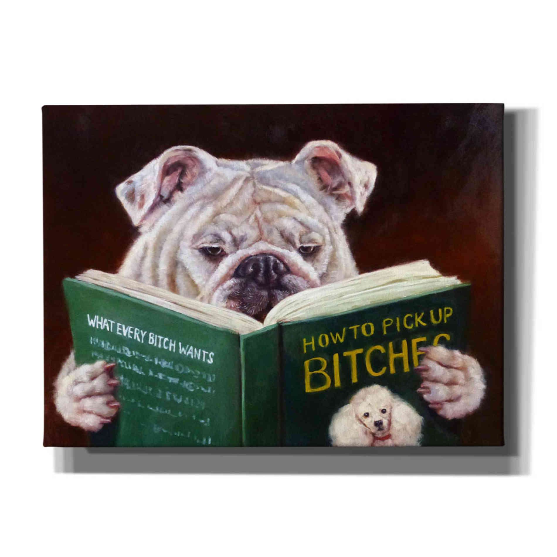 'Casanova' by Lucia Heffernan, Canvas Wall Art